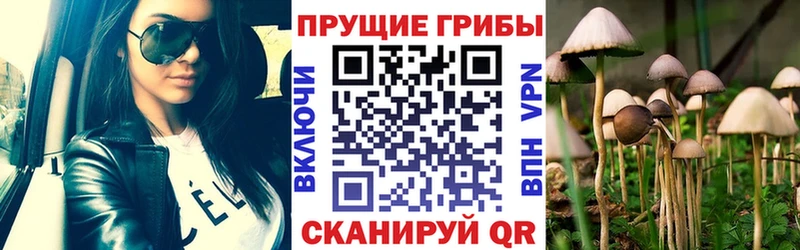 Галлюциногенные грибы GOLDEN TEACHER  hydra ссылки  darknet как зайти  купить закладку  Чекалин 